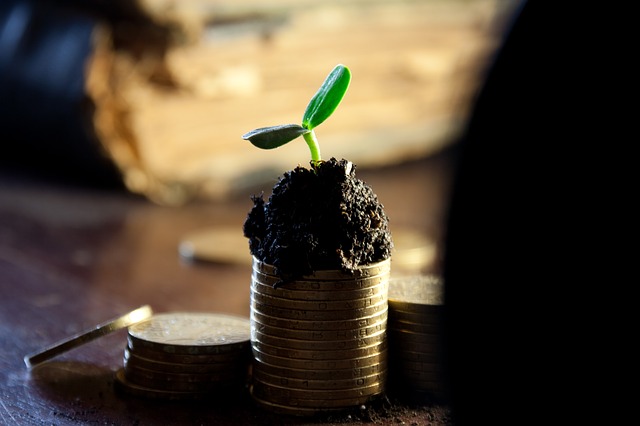 Kreditfinanzierte Aktien müssen solide wachsen. (Quelle: Markgraf-Ave(CC0-Lizenz)/ pixabay.com)