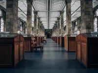 Behavioral Finance: Unter Asymmetrie funktionieren wir nicht