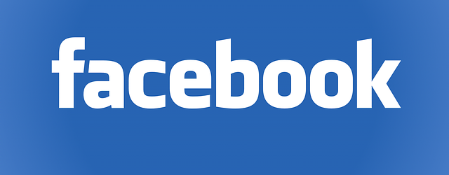 Warum Sie noch die Finger von Facebook-Aktien lassen sollten