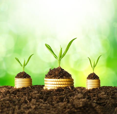 Value Investing