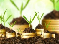 Nachhaltiges und ethisches Investieren – Teil 5: Nachhaltigkeits- und Öko-Indices