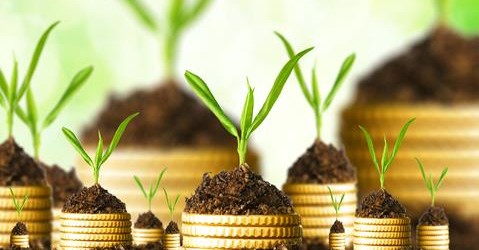 Nachhaltiges und ethisches Investieren – Teil 5: Nachhaltigkeits- und Öko-Indices