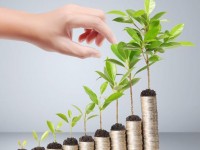 Was ist ein Dividendenfonds?