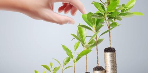 Was ist ein Dividendenfonds?