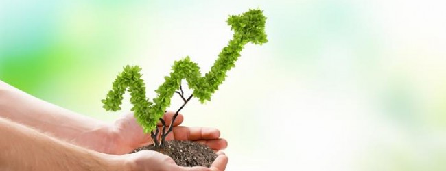 In welchen Fonds investieren? – So kommen Sie an die richtigen Informationen!
