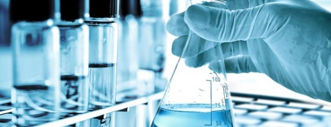 BitVit – die Innovation am Gesundheitssektor