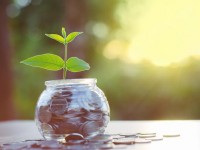 Anzeige: Nachhaltig in Investmentfonds Anlegen mit dem GreenFolio von VisualVest