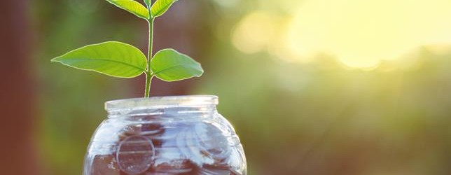 Nachhaltiges und ethisches Investieren – Teil 4.2: Direkte Einzelinvestments