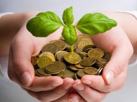 Nachhaltiges und ethisches Investment: Ein paar Dinge, die man als Kleinanleger unbedingt wissen sollte