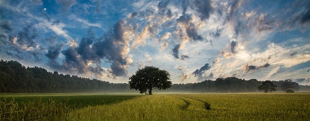 Nachhaltige Fonds – Zustrom hält an