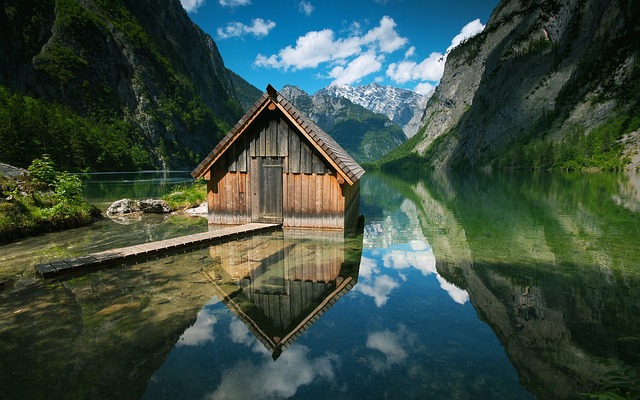 nature100
